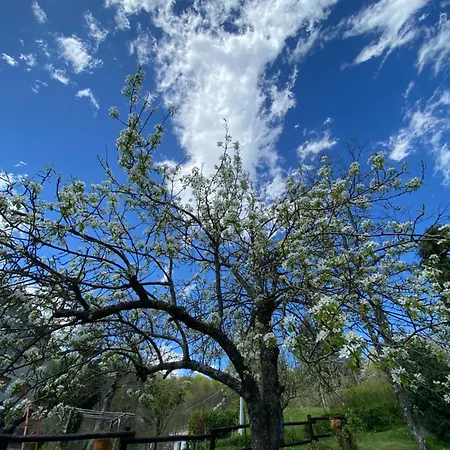A Casa Di Andre Martina Olba